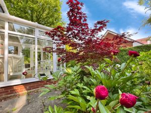 Photo 27- click for photo gallery